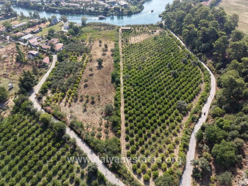 Im Köyceğiz Çandır Mahallesinde kanala sıfır 20.000m2 satılık Feld