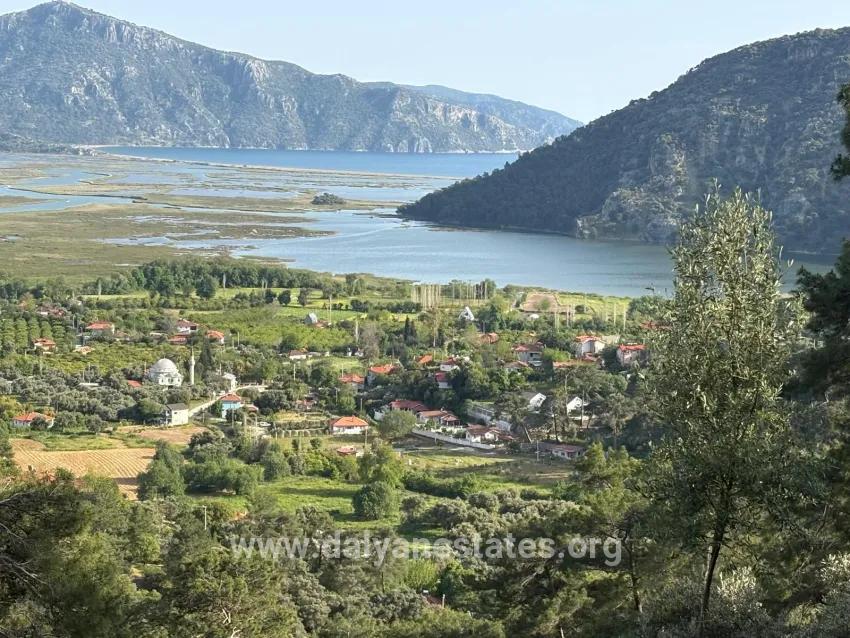 Feld Zu verkaufen in Çandır Bz. Köyceğiz - Feld-Zonierung - 1.252 m²