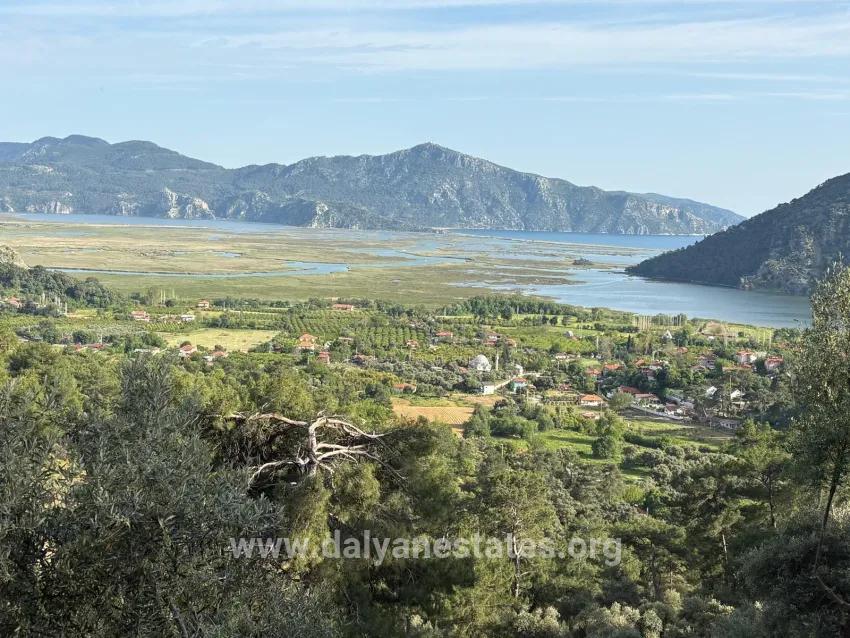 Feld Zu verkaufen in Çandır Bz. Köyceğiz - Feld-Zonierung - 1.252 m²