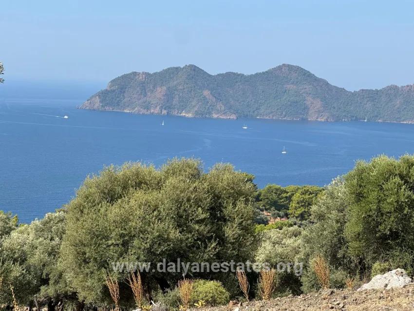 Feld Zu verkaufen in Çandır Bz. Köyceğiz - Feld-Zonierung - 21.000 m²