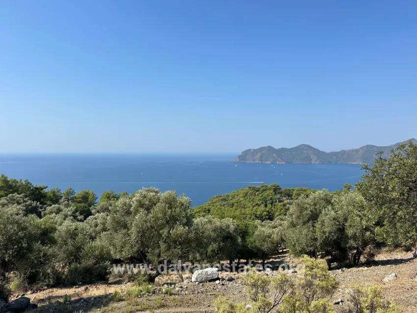 Feld Zu verkaufen in Çandır Bz. Köyceğiz - Feld-Zonierung - 21.000 m²
