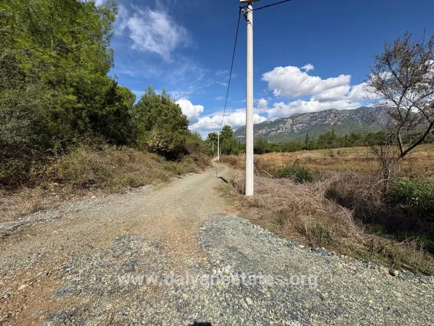 Feld Zu verkaufen in Zeytinalanı Bz. Köyceğiz - Feld-Zonierung - 10.500 m²