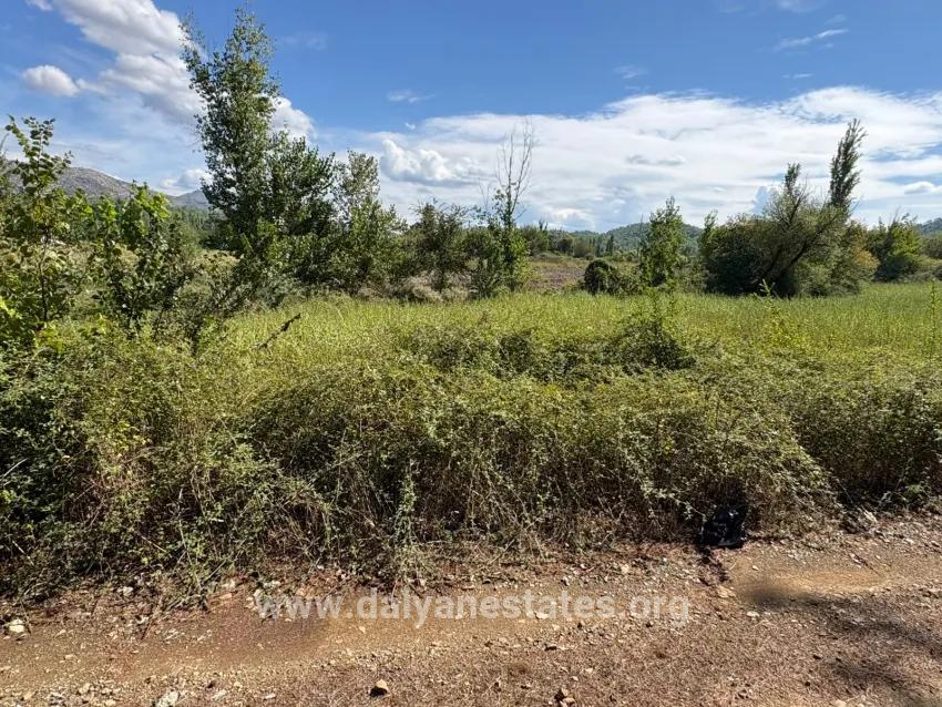 Feld Zu verkaufen in Zeytinalanı Bz. Köyceğiz - Feld-Zonierung - 10.500 m²