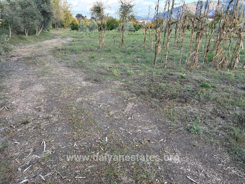 7.450 M² Großes Grundstück In Dalyan Mit 5%iger Zonierung Zu Verkaufen.