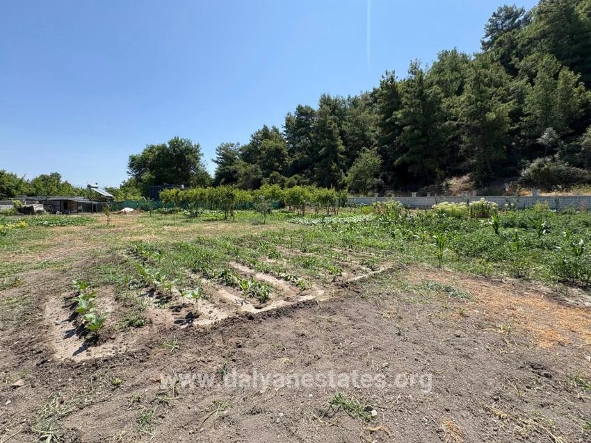 Freistehendes Holzhaus Mit 120 M² Wohnfläche Auf Einem 2500 M² Großen Grundstück In Der Gegend Von Dalyan Karadağ