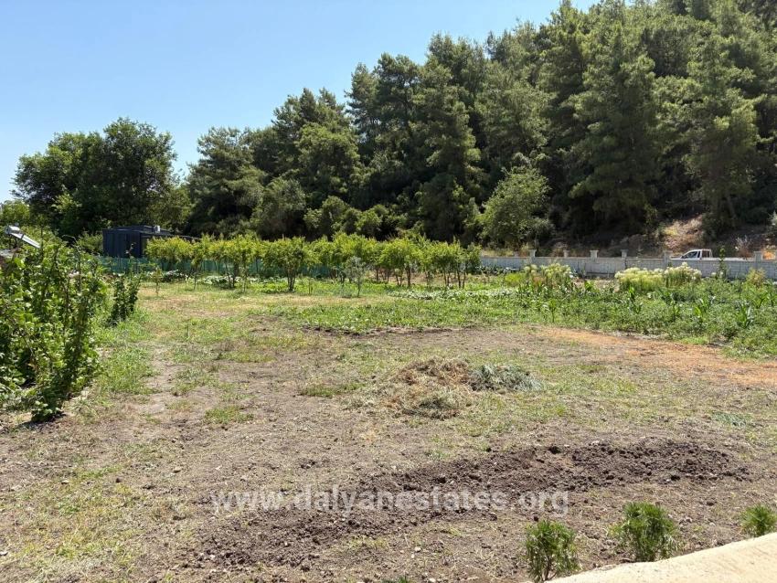 Freistehendes Holzhaus Mit 120 M² Wohnfläche Auf Einem 2500 M² Großen Grundstück In Der Gegend Von Dalyan Karadağ