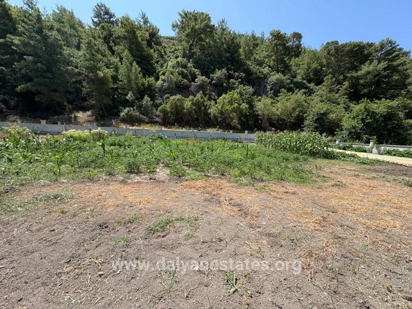Freistehendes Holzhaus Mit 120 M² Wohnfläche Auf Einem 2500 M² Großen Grundstück In Der Gegend Von Dalyan Karadağ