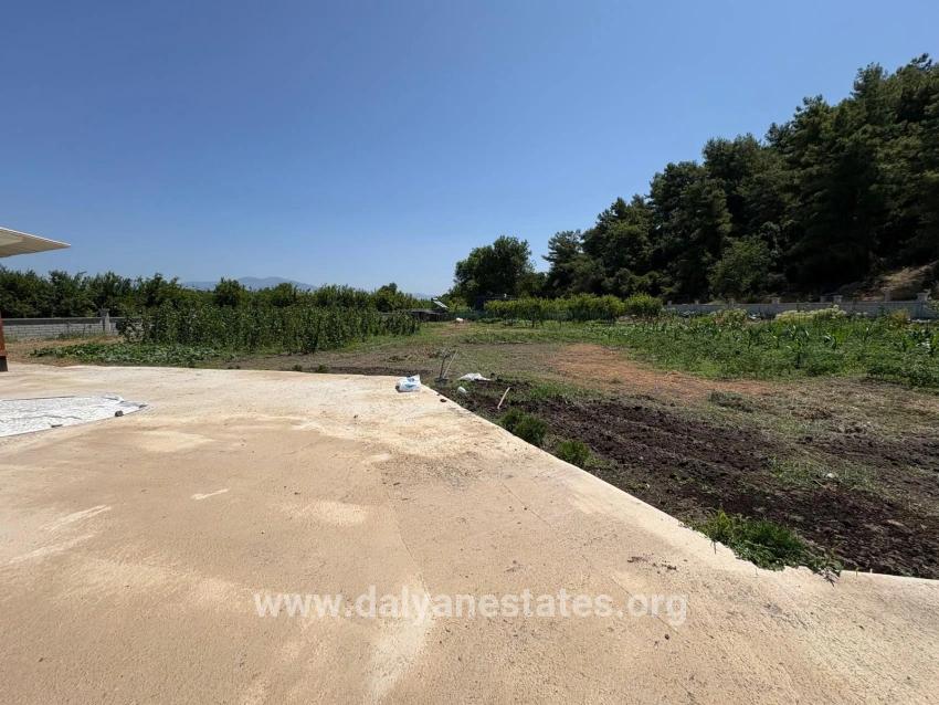 Freistehendes Holzhaus Mit 120 M² Wohnfläche Auf Einem 2500 M² Großen Grundstück In Der Gegend Von Dalyan Karadağ