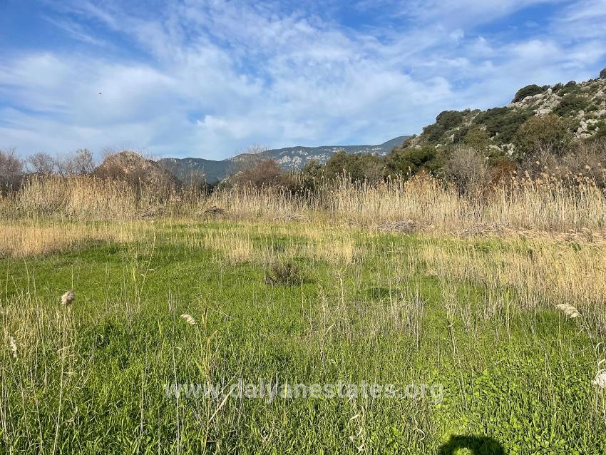 6800 M² Großes Grundstück In Dalyan Zu Verkaufen, 5% Wohnbebauungszone.