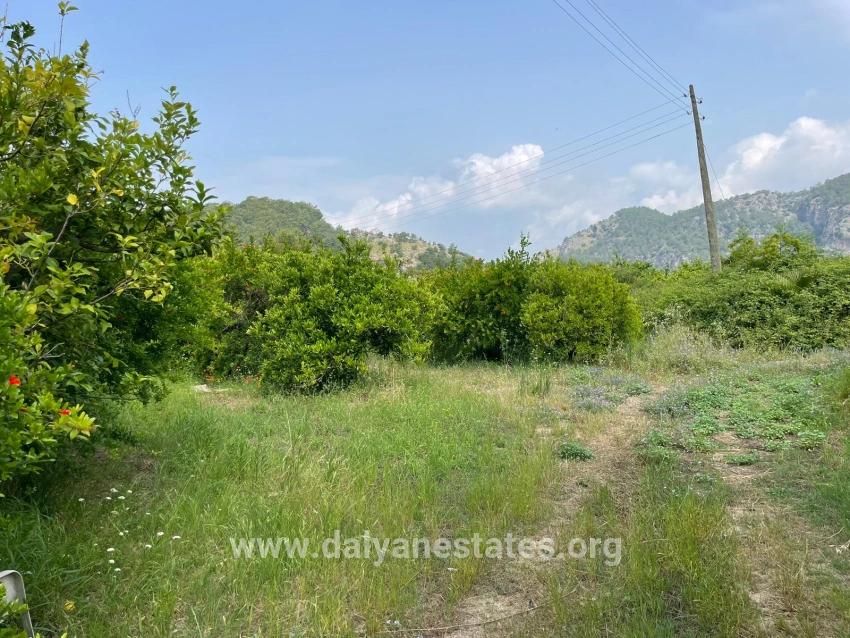 Feld Zu verkaufen in Gökbel Bz. Ortaca - Gehäuse-Zonierung - 7.800 m²