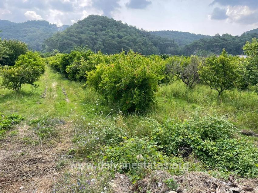 7800 M² Großes Grundstück Zum Verkauf In Gökbel, Neben Der Iztuzu Beach Road