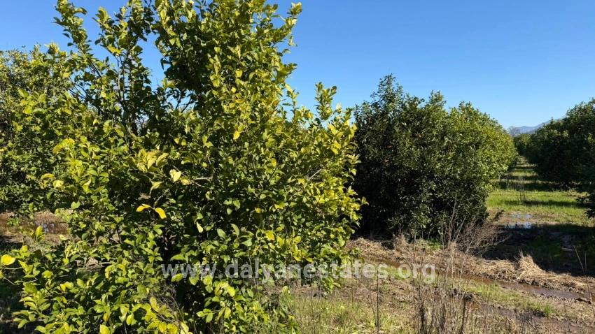2.218m2 Grundstück Zum Verkauf In Okçular Marmarlı