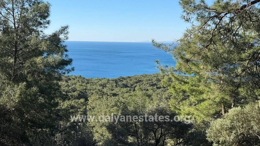 Feld Zu verkaufen in Çandır Bz. Köyceğiz - Gehäuse-Zonierung - 5.715 m²
