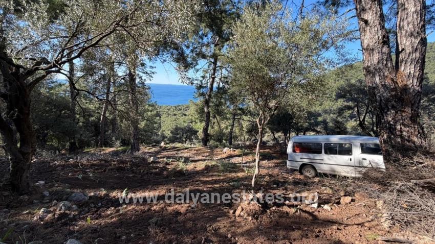 Feld Zu verkaufen in Çandır Bz. Köyceğiz - Gehäuse-Zonierung - 5.715 m²