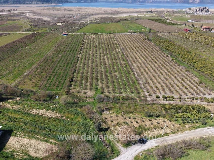 16.710 M² Granatapfelgarten Zum Verkauf Mit Seeblick In Eskiköy