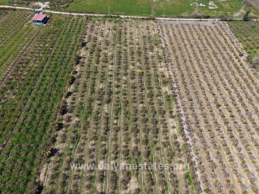 16.710 M² Granatapfelgarten Zum Verkauf Mit Seeblick In Eskiköy