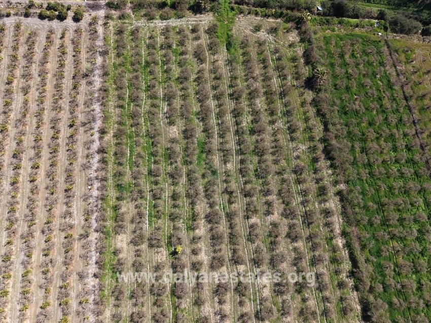 16.710 M² Granatapfelgarten Zum Verkauf Mit Seeblick In Eskiköy