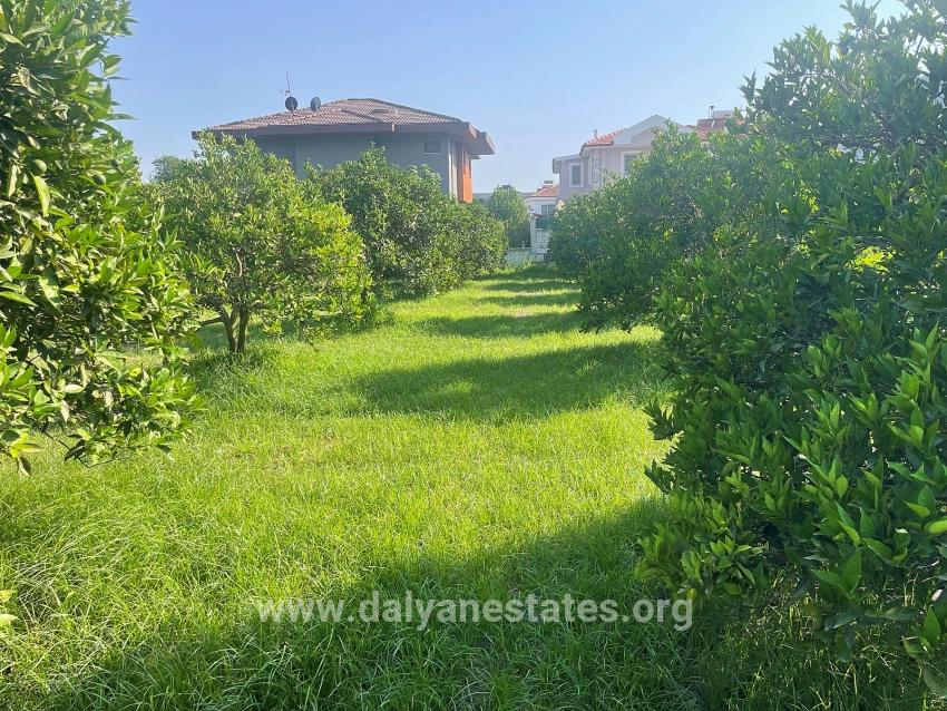 722m2 Grundstück Zum Verkauf In Dalyan Gülpınar
