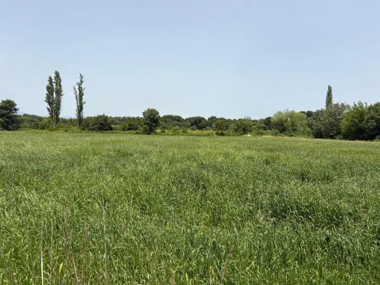 2100 M2 Großes Grundstück Zum Verkauf In Okçular Marmaris.