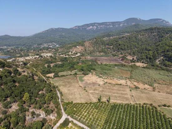 Im Köyceğiz Çandır Mahallesinde kanala sıfır 20.000m2 satılık Feld