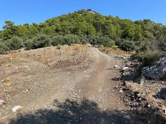 In Çandır mit Meerblick 21.000 m2 zu verkaufen 2b Feld