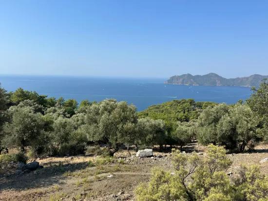 In Çandır mit Meerblick 21.000 m2 zu verkaufen 2b Feld