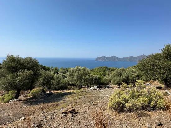 In Çandır mit Meerblick 21.000 m2 zu verkaufen 2b Feld