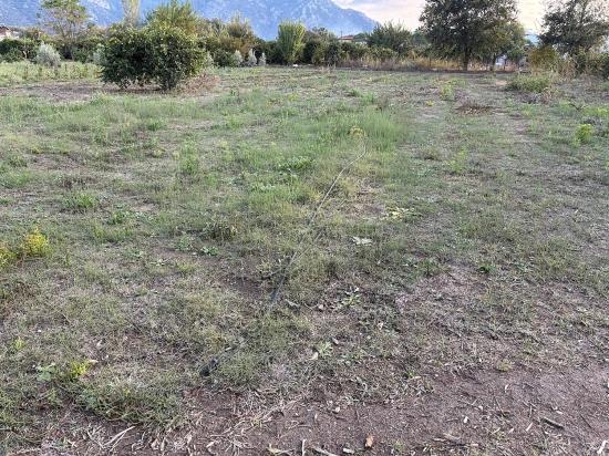 7.450 M² Großes Grundstück In Dalyan Mit 5%iger Zonierung Zu Verkaufen.