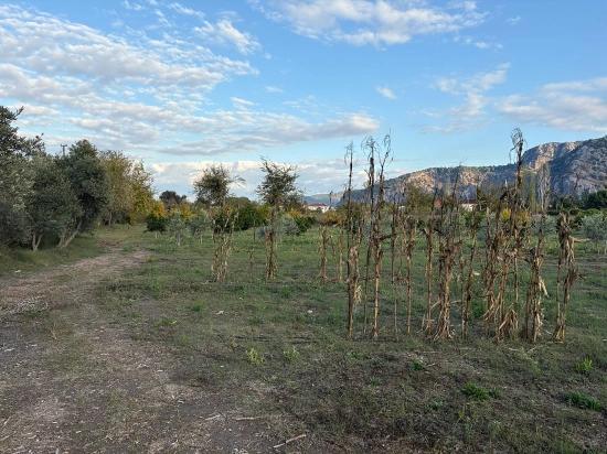 7.450 M² Großes Grundstück In Dalyan Mit 5%iger Zonierung Zu Verkaufen.