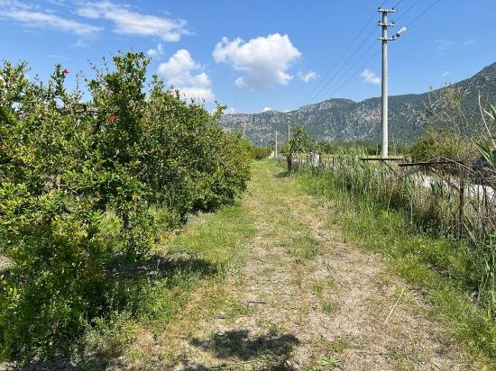 5.100 M² Großes Grundstück In Dalyan, Gebiet Maraş, Zu Verkaufen, Ausgewiesen Für 5% Wohnnutzung.
