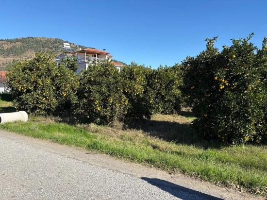 Grundstück Zum Verkauf In Ekşiliyurt, Mit Baugenehmigung, Innerhalb Einer Bebauten Fläche Von 1085 M².