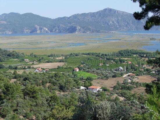 19.334 M² Großes Grundstück Zum Verkauf In Çandır, Köyceğiz.