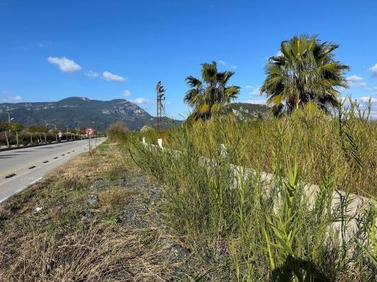 5.111 M² Großes Gewerbe- Und Wohngrundstück Zum Verkauf, Direkt An Der Hauptstraße In Dalyan Gelegen