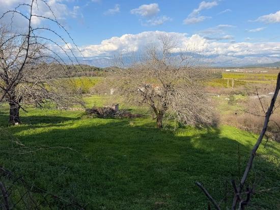11.230 M² Großes Grundstück Mit Seeblick In Dalyan Zu Verkaufen.