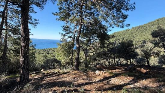 2b-feld Von 5715 M2 Zum Verkauf Mit Vollem Meerblick In Çandır