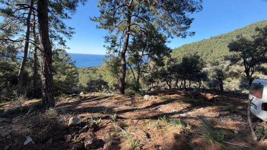 2b-feld Von 5715 M2 Zum Verkauf Mit Vollem Meerblick In Çandır