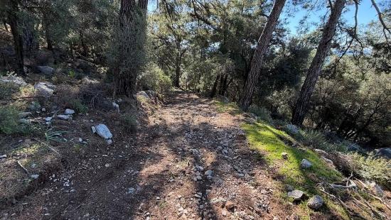 2b-feld Von 5715 M2 Zum Verkauf Mit Vollem Meerblick In Çandır