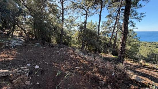 2b-feld Von 5715 M2 Zum Verkauf Mit Vollem Meerblick In Çandır
