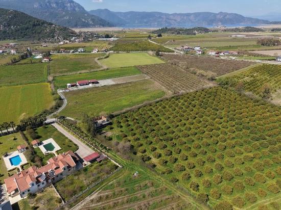 17.550 M2 Weinberg-bahce Zum Verkauf In Der Nähe Des Dalyan Centers