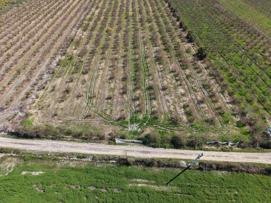 16.710 M² Granatapfelgarten Zum Verkauf Mit Seeblick In Eskiköy