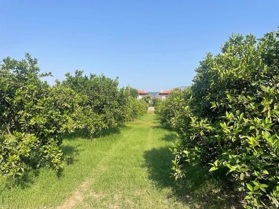 722m2 Grundstück Zum Verkauf In Dalyan Gülpınar
