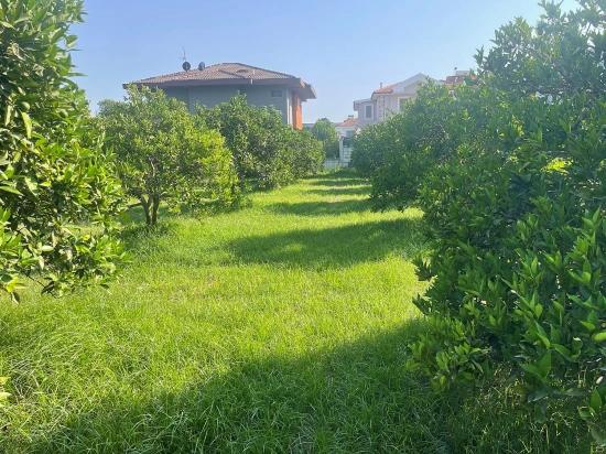 722m2 Grundstück Zum Verkauf In Dalyan Gülpınar