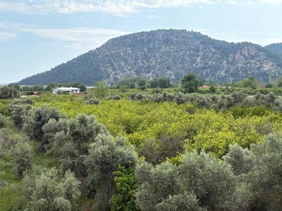 In Çandır Mit Meeres- Und Seeblick 1.721m2 Verkaufsfeld