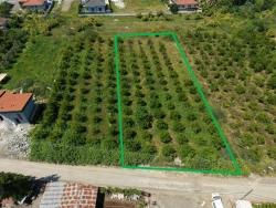 Land Zu verkaufen in Okçular Bz. Ortaca - Gehäuse-Zonierung - 1.050 m²