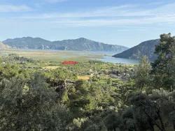 Feld Zu verkaufen in Çandır Bz. Köyceğiz - Feld-Zonierung - 1.252 m²