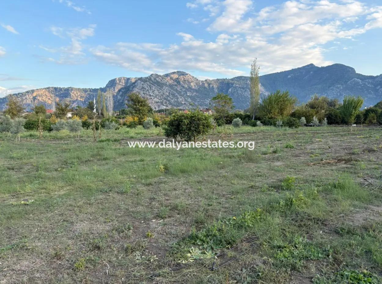 7.450M2 Land Zum Verkauf In Der Nähe Des Zentrums Von Dalyan