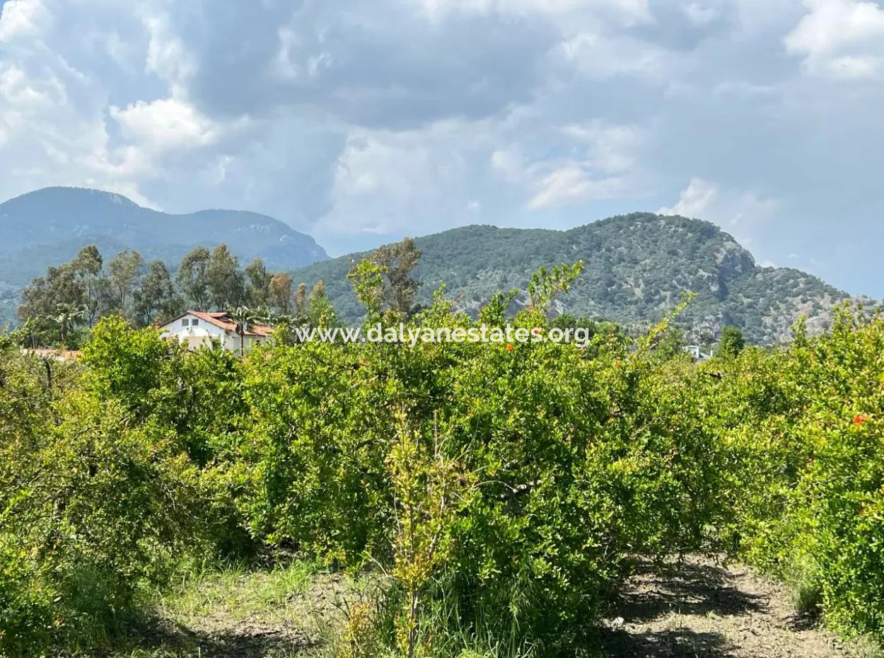 5.100 M2 Land Zum Verkauf In Der Gegend Von Dalyan Maraş Mit 5% Wohnzone