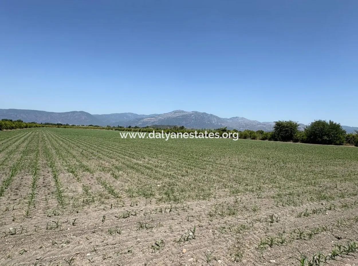 46.550M2 Grundstück Zum Verkauf In Tepearası