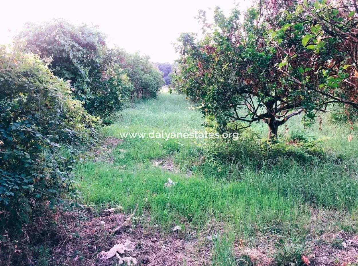 Archer In Die Bogenschützen Grundstück Zum Verkauf Zum Verkauf In Marmarli 1,500M2 Grundstück Zum Verkauf