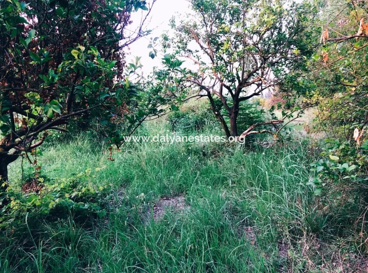 Archer In Die Bogenschützen Grundstück Zum Verkauf Zum Verkauf In Marmarli 1,500M2 Grundstück Zum Verkauf